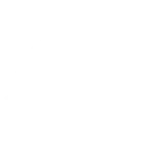 Tortugas A La Fuga – Escape Room Alicante ©Logo by LyBe Creators
