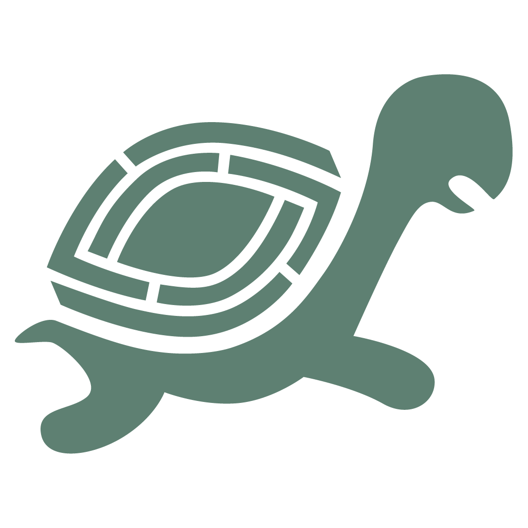 Tortugas A La Fuga – Escape Room Alicante ©Logo by LyBe Creators