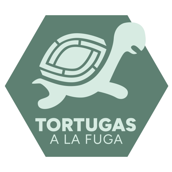 Tortugas A La Fuga – Escape Room Alicante ©Logo by LyBe Creators