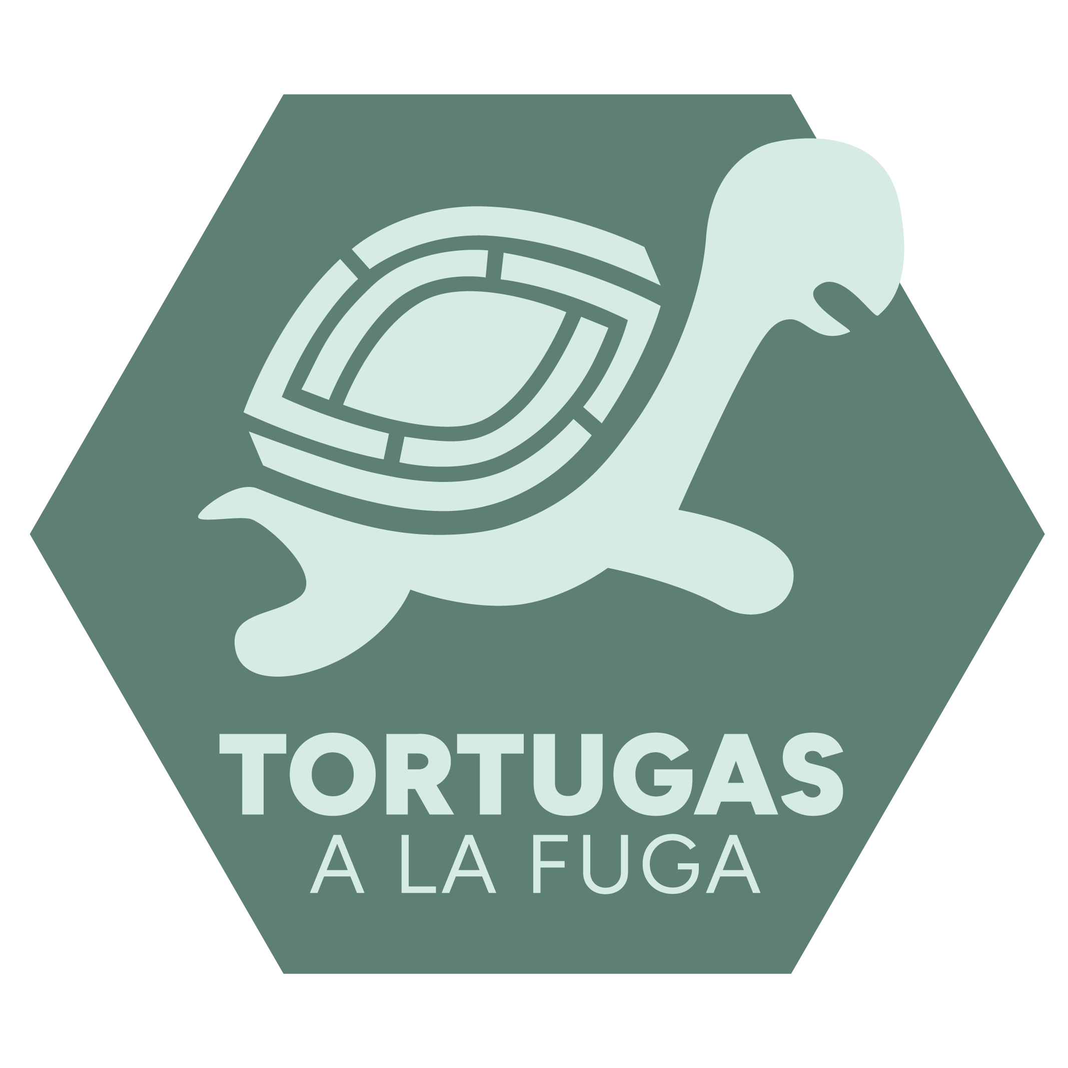 Tortugas A La Fuga – Escape Room Alicante ©Logo by LyBe Creators